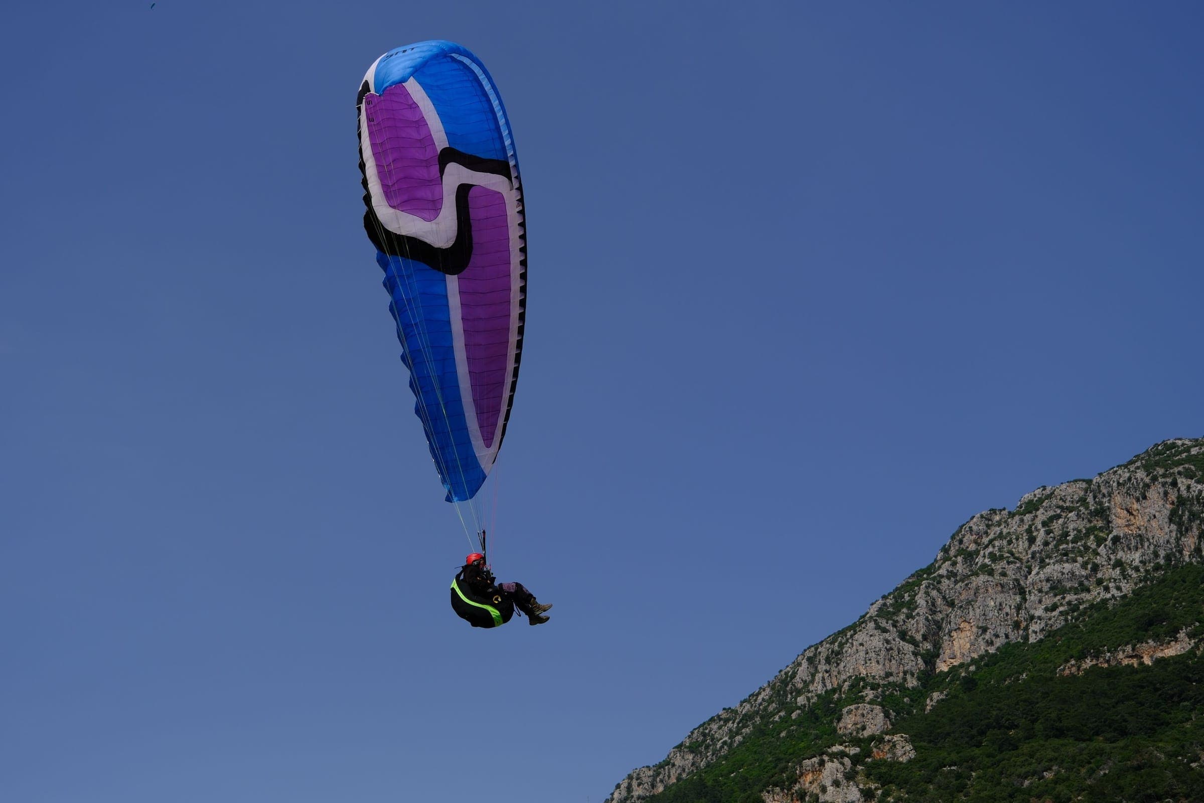 A purple and blue wing above the forested ridge of Babadağ